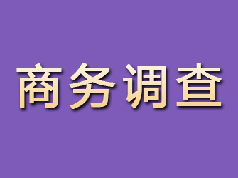 保亭商务调查